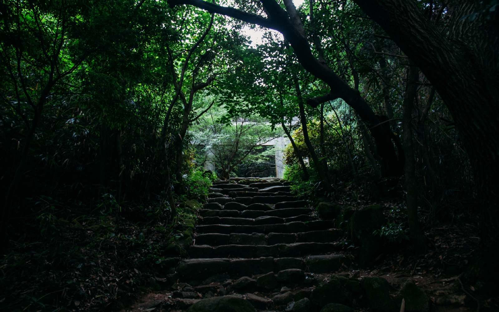 Stone Path to the Upper Sanctuary
