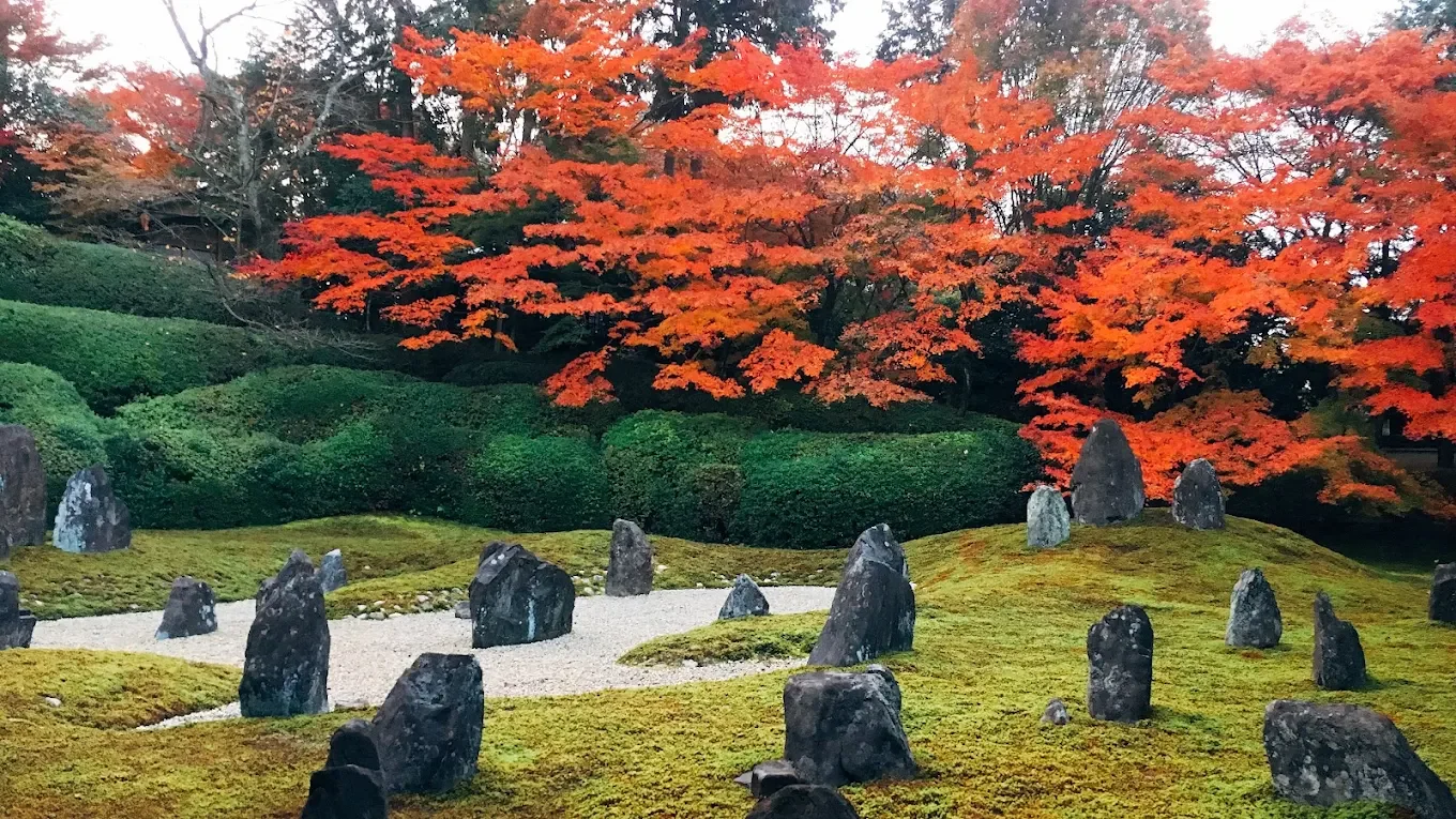 Higashiyama | Radiant Stillness