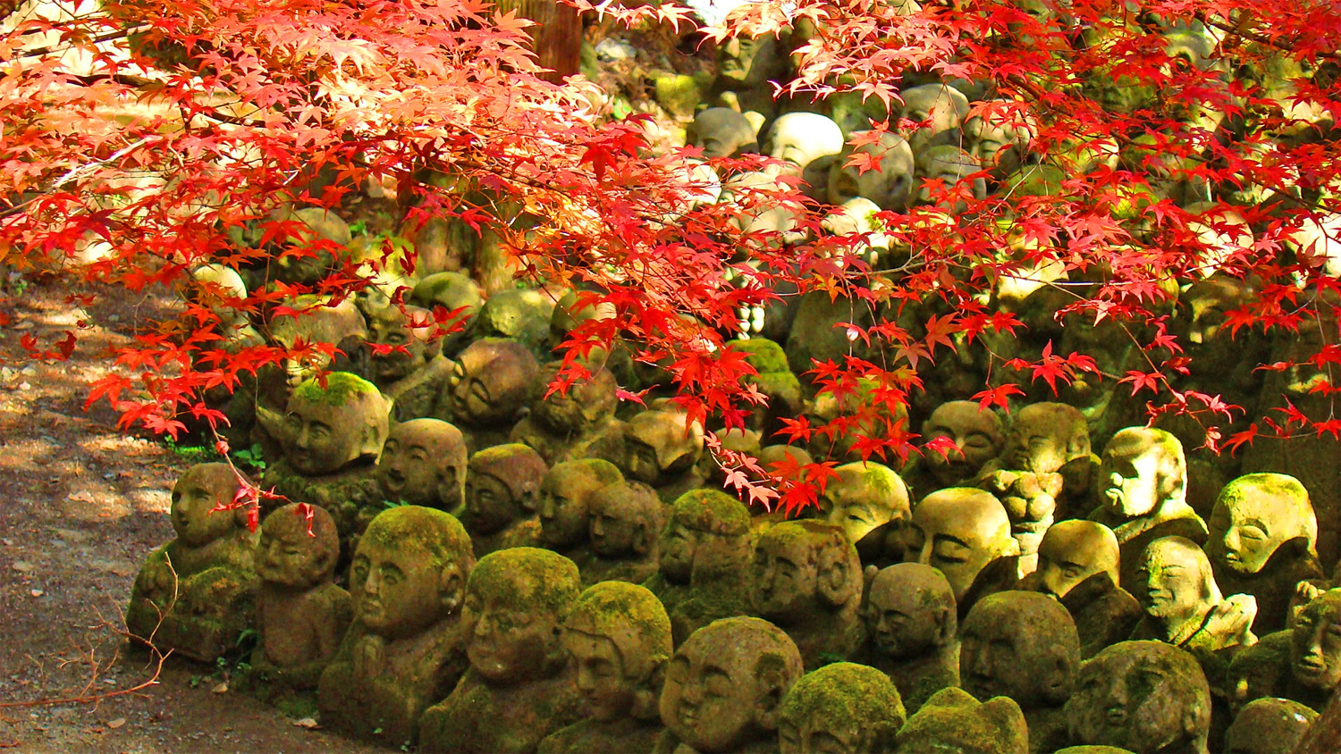 Northern Arashiyama | Whimsical Stone Garden
